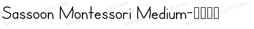 Sassoon Montessori Medium字体转换